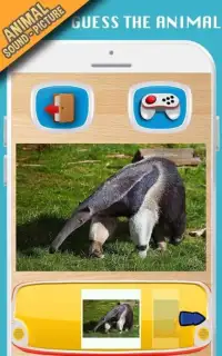 Animal sounds+pictures App For kids Screen Shot 8