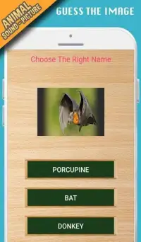 Animal sounds+pictures App For kids Screen Shot 0