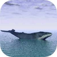 Blue Whale Real Escape Challenge Runner