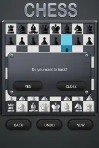 Chess Puzzles Screen Shot 0