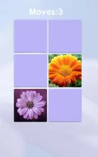 Flower Memory Game For Adults And Kids - Free Screen Shot 3