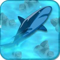 Blue Whale Shark Hunting Simulator 3d