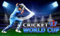 Cricket World Cup Game Screen Shot 1