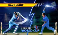 Cricket World Cup Game Screen Shot 4