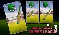 World Cricket Super League Screen Shot 1