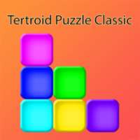 Tertroid Puzzle Classic Block
