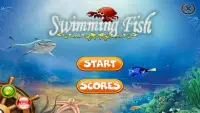 Swimming Fish game Screen Shot 0