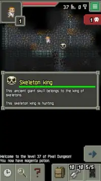 Sprouted Pixel Dungeon Screen Shot 2