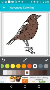 Birds - Learn, Spell, Quiz, Draw, Color and Games Screen Shot 1