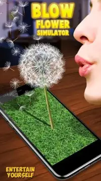 Blow Flower Simulator Screen Shot 1