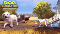 Dog Simulator : Pet Games Screen Shot 4