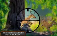 джунгли выживание снайпер стрелок Screen Shot 3