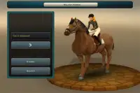Race Horses Champions 2 Screen Shot 0