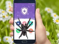 Паук на экране Магический паук в телефонном Screen Shot 0