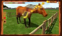 Horse Show Jumping Challenge Screen Shot 1