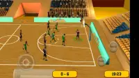 Basketball Sim 3D Screen Shot 0