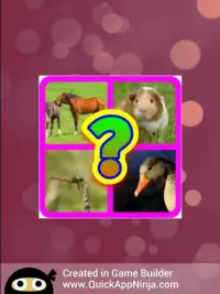 Guess The Animals Quiz Screen Shot 11
