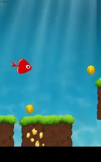Kırmızı Balık Oyunları Screen Shot 1