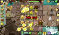 Guide Plants vs Zombies Screen Shot 4