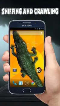Crocodile in Phone Scary Joke Screen Shot 1