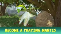 Mantis Insect Life Simulator Screen Shot 3