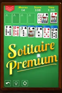 Solitaire Premium - Free Klondike Card Game Screen Shot 9