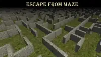 Survival in Maze Screen Shot 7