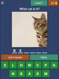 Guess The Cat Breed Quiz Screen Shot 1