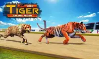 Wild Tiger Racing Fever : Animal Racing Game Screen Shot 6