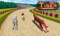 Wild Tiger Racing Fever : Animal Racing Game Screen Shot 1