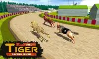 Wild Tiger Racing Fever : Animal Racing Game Screen Shot 4
