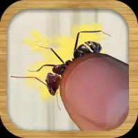 Ant Smasher Free Game Screen Shot 0