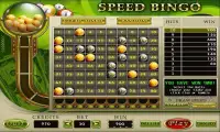 Casino 8 Games Screen Shot 6