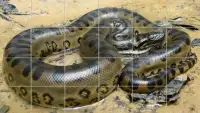 Anaconda Puzzle Screen Shot 1