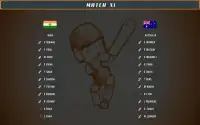 Cricket Heroes: Mobile Edition Screen Shot 2