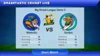 Smashtastic Cricket Screen Shot 6