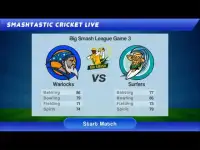 Smashtastic Cricket Screen Shot 0