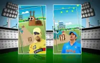 Dhoni Super Cricket World - Free Game Screen Shot 1