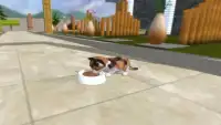 Kitty Simulator 3D Screen Shot 1