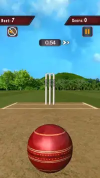 Flick Cricket 3D T20 World Cup Screen Shot 4