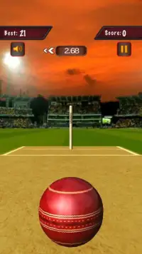 Flick Cricket 3D T20 World Cup Screen Shot 2