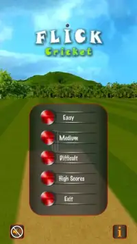 Flick Cricket 3D T20 World Cup Screen Shot 5