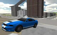 Race Car Driving 3D Screen Shot 0