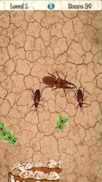 Beetle Smasher 2017 Screen Shot 5