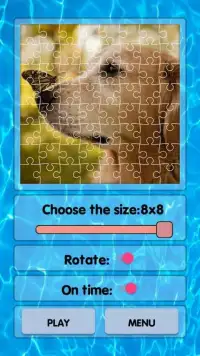 Dogs Jigsaw Puzzles Screen Shot 4