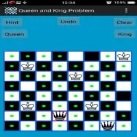 Chess Queen and King Problem Screen Shot 2