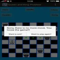 Chess Queen and King Problem Screen Shot 1