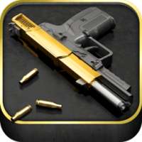 iGun Pro -The Original Gun App