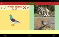 Animals Colors Games for Kids Screen Shot 1