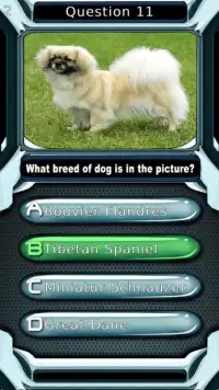 Dog Breed Animal Quiz Game Screen Shot 2